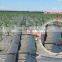 China Layflat PE Soft Water Hose for Agriculture And Garden Irrigation