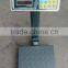 150kg-300kg digital platform scale /foldable electronic platform scale