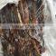 ILLEX ARGENTINUS size 100/150 g