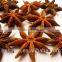 Dry Star Aniseeds (ganzhi)
