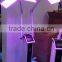 Double Handles LED PDT Machine For Acne Scar Led Light For Skin Care Wrinkle Treatment Skin Whiten And Tighten Facial Care