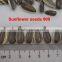 dried sunflower seeds sunflower seeds turkey