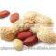 Red Skin Peanut Bold 50-60
