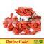 organic goji