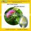 GMP Manufacturer Supply 100% Pure Milk Thistle Extract With 80% Silymarin