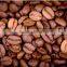 Best Arabica coffee from Vietnam