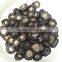shiitake mushroom preserved mushrooms 1kg china supplier