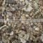 Chinese	brown straw mushroom preserved Volvaria volvacea whole straw mushrooms