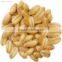 Wheat Germ Oil rich in Vitamin E