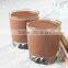 Slimming beverage chocolate drinks, instant cocoa powder drink