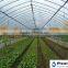 Plentirain brand PVC material micro sprinkler irrigation pipe