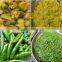 Hot Sale brake dish machine/vegetable cutting machine