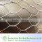 anping hexagonal mesh/hexagonal plastic mesh