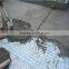 factory price BWG standard 2x2 inch welded wire mesh panel with galvanized