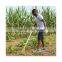 Large Leaf Rake Outdoor Toys Garden Tool Toys