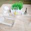 Eco friendly OPS disposable cake roll container boxes clamshell