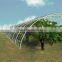 Low cost plastic covered rose greenhouse tunnel