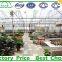 High Quality Multi Span Plastic Commercial Greenhouse for vegetable and Flower Fostering