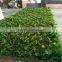 2017 China manufacturer wholesale china pvc wall plant skirting and holder