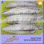 Double Clean Halal Seafood Top Quality Tuna Loin Buyer