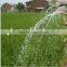 smart automatic digital water timer for yard/ garden /coffee land