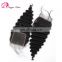 Human Hair Material and Brazilian Hair Human Hair Type wholesale virgin cheap hair brazilian lace closure