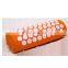 High Quality Coconut Linen Back Pain  Magnet Acupressure  Mat and pillow set