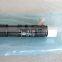 Genuine And Brand New Common Rail Injector EJBR04401D A6650170221 6650170221