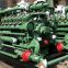 Shengdong 600kw Natural Gas Generator Parts Engine Model: 600GF1-RW