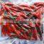 Best Price Frozen Hot Red Chili from Vietnam