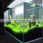 6mm 10mm 12mm mat broken aquarium glass
