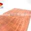 Shengxin Wood grain aluminium doors and window profile section for Algeria