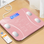 scalesBody fat scale  Health scale