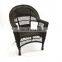 Hot Sale Indoor & Outdoor PE Rattan Wicker Arm Chair Patio Garden Furniture