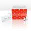 Sample Nucleic Acid Extraction System Reagent Kit Without Proteinase K