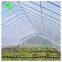Best Selling 200 Micron PO Film Greenhouse Cover Greenhouse Plastic Film for Agriculture