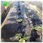 Top manufacturer most popular best selling agricultural plastic film mulching film