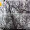 Top Grade Natural Polished Heaven Bird Wall Cladding Marble Tiles