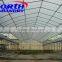 Economicl greenhouse/Vegetable greenhouse/Flower greenhouse