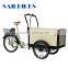 3 wheel cargo electric tricycle for family