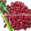 Wholesale dark red kidney beans for can (shanxi)