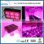 CE ROHS Epistar Apollo 6 led grow lights 300w for indoor plant for chile market