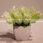 Cheap Plastic Artificial Potted Flower Pine Needle Flower Bonsai in White Ceremic Pot