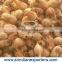 Healthy Coconut for Sale