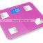 180kg Dody Fat Scale With Popular Design