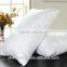 Guangzhou hotel pillows/ goose down pillows / pillows for hotel