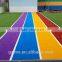 All Victory Grass Running Track Grass Rainbow Turf