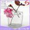 Room Reed Aroma Diffusers new designed aroma diffuser bottle Liquid Shape and Air Fresheners Type Glass Bottle Aroma Diffuser