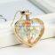 wholesale top selling gold chain jewelry Plant specimens real flower in glass bottle pendant heart necklace