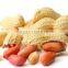 Groundnut 2015 New Crop from India